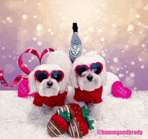 Dog Puppy GIF by HammyandBrody