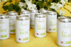 Lemon Soda GIF by laesk