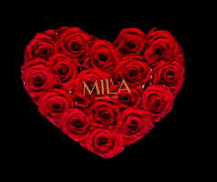 MILAROSESOFF heart mila red heart flowerbox GIF