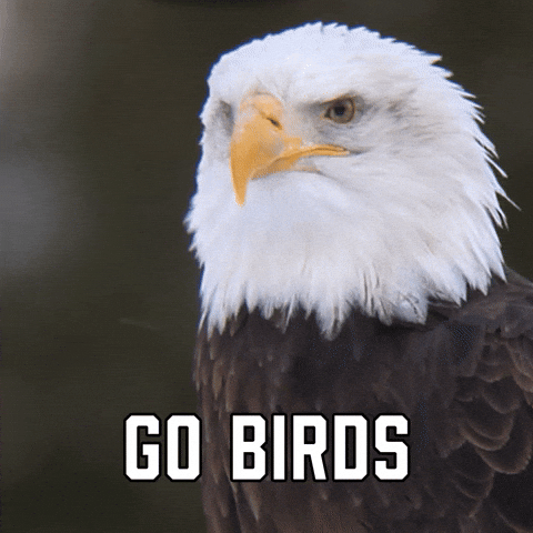 Video gif. Eagle looks around, opening and closing its beak like it's talking. Text, "Go birds."