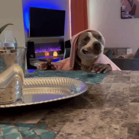 Starving Feed Me GIF
