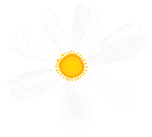 Kamillosan_Official Sticker