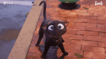 Confused Black Cat GIF by Apple TV+
