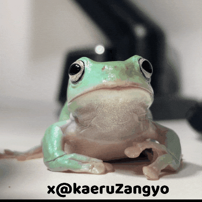 Frog Yawn GIF