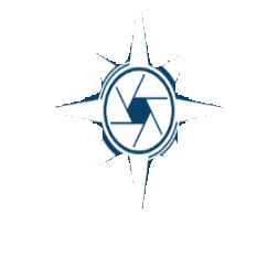 focustef Sticker