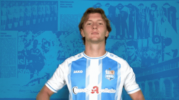 Celebration Cfc GIF by ChemnitzerFC