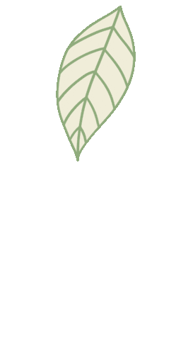 Effects Sticker by Resonace Tea