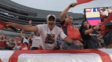 200.gif?cid=fc005b088eba788d1ca32a601b90f5533e3f5afd99ea692b&rid=200.gif&ct=g