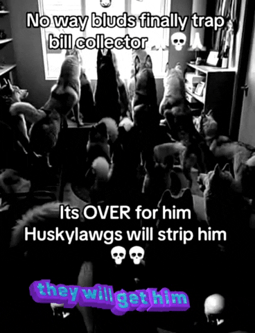 They Will Get Him GIF