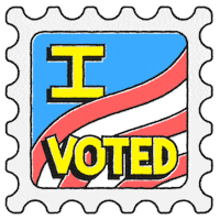 Voting Election 2020 GIF by NowThis
