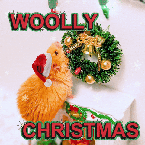 Merry Christmas GIF by Colossal