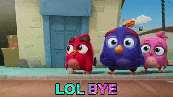 No Thank You Lol GIF by Angry Birds