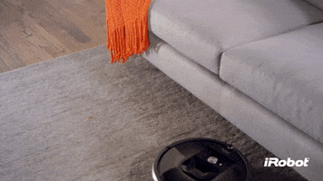 huck  GIF