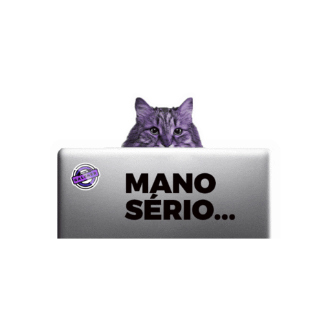 Galena Sticker