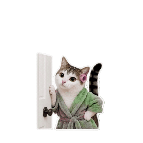 Cat Sticker