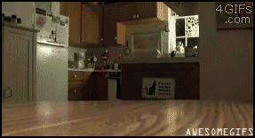Cat Food Eating GIF - Find & Share on GIPHY