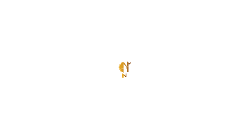 Wood N Brain Sticker