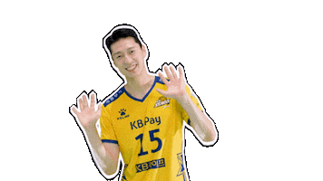 Kb스타즈 Sticker by KB STARS VOLLEYBALL CLUB