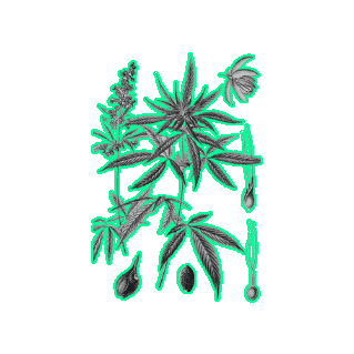 Sticker by The Hemp Project