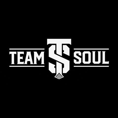 Team SouL 2023 🚀 - Powered by S8UL ESPORTS - YouTube