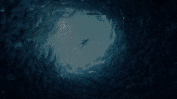 Giant Squid GIF