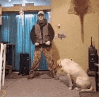 Dance Dancing GIF