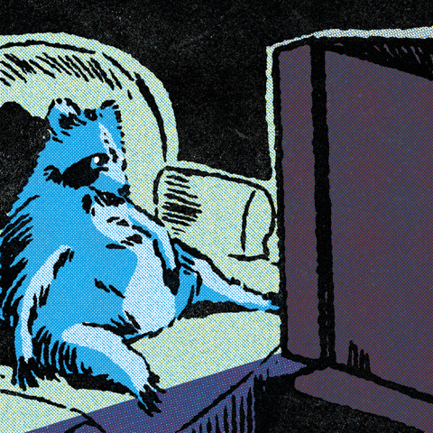 Novela Telenovela GIF