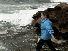 Fall Sally GIF