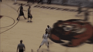 Excited Big Sky GIF by Montana Grizzlies