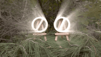 Power Of Veto GIF by Big Brother