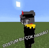 Minecraft GIF