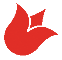 Flowers Tulips Sticker by Floral Design Institute