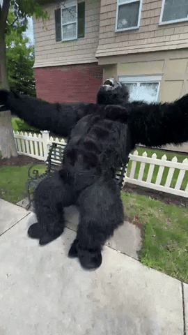 Chubsuit chubsuit chub suit chubsuit gorilla GIF