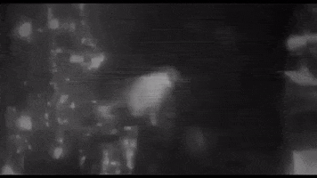 Happy New Year GIF