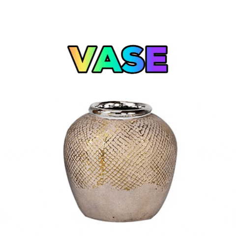 rk_projects vase GIF