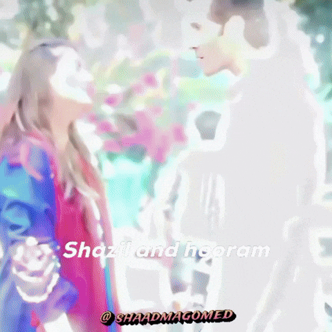 Pakistan Cricket Khaani GIF