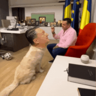 Papa Caine GIF by Duhul Rautatilor