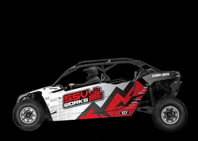 SSV Works GIF