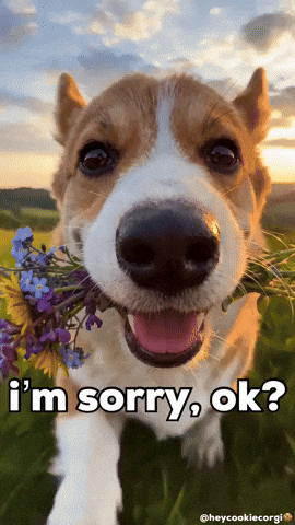 Forgive Me Love GIF