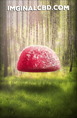 Floating Red Berry GIF by Imaginal Biotech