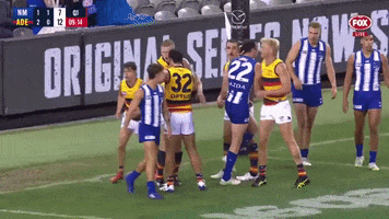 Round 4 Goal GIF by Adelaide Crows