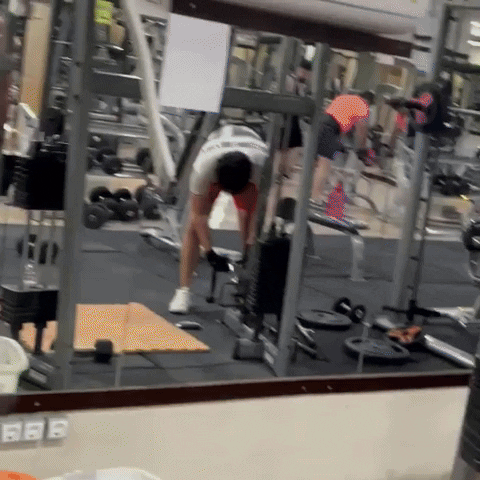 Sport Gym GIF
