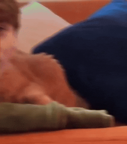 Small Person Borrower GIF