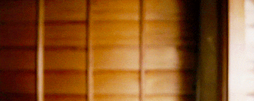 Animals Cat animated GIF