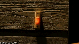 giphy.gif?cid=4d1e4f2967d9c6bfda08255154bcf3894bf15730c38b464b&rid=giphy.gif