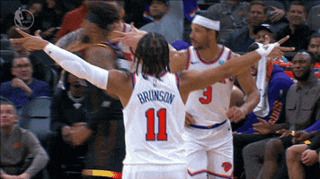 Happy New York Knicks GIF by NBA
