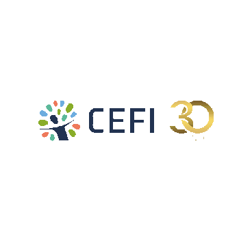 CEFI FACEFI Sticker