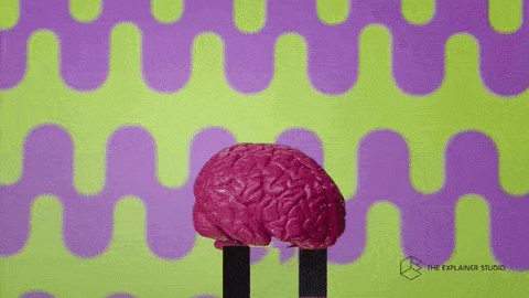 Brain GIF by The Explainer Studio