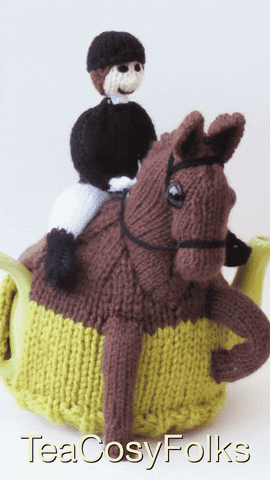 Sport Horse GIF by TeaCosyFolk