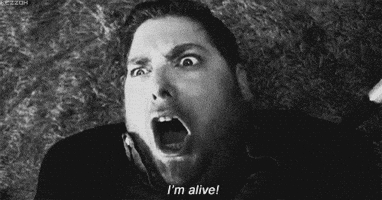 Animated GIF Animated GIF